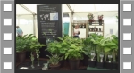 Our display at Tatton Park 2016