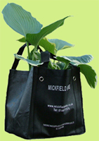 Shopping Bag