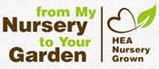HEA nursery logo