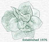 Title logo