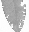 Vine weevil damage