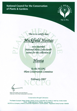 Designation certificate