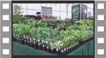Our display at Gardeners' World 2016