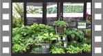 Gardeners' World display