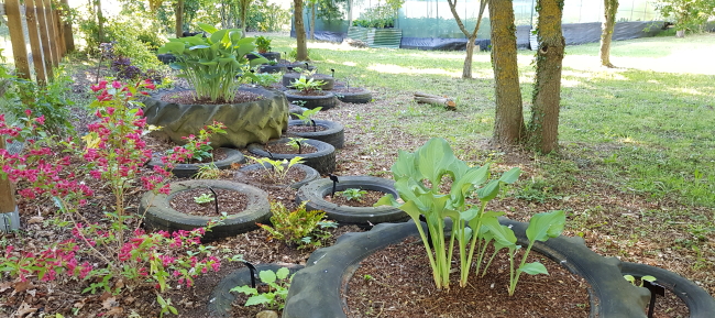 Rubber Rockery