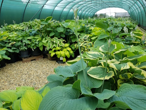 Collection tunnel Rubber Rockery