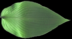 Innisjade